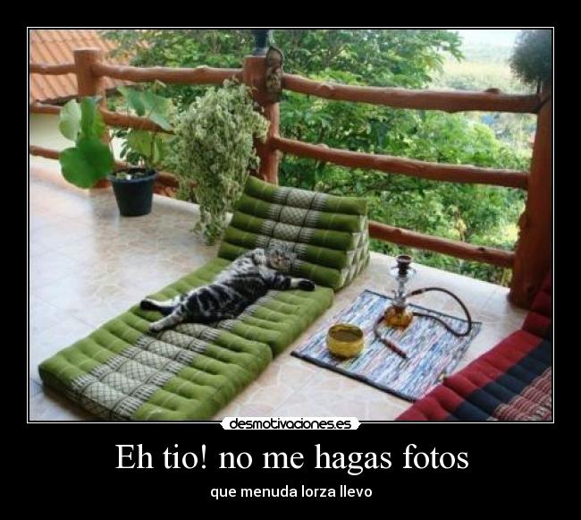 Eh tio! no me hagas fotos - que menuda lorza llevo