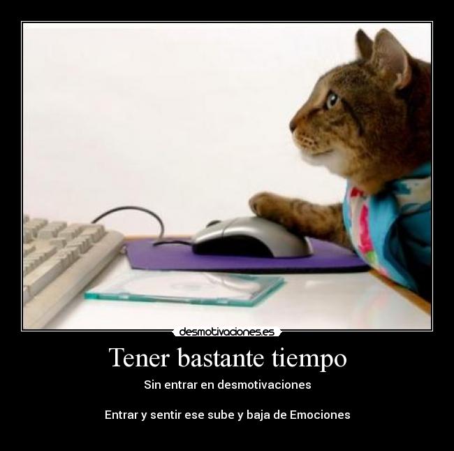 carteles tener bastante tiempo sin entrar desmotivacioneses sube baja emociones gatoscomputadora desmotivaciones