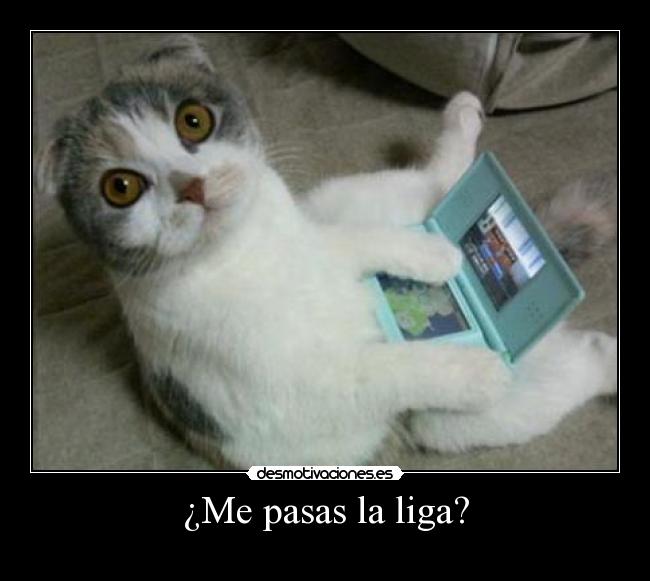 ¿Me pasas la liga? -