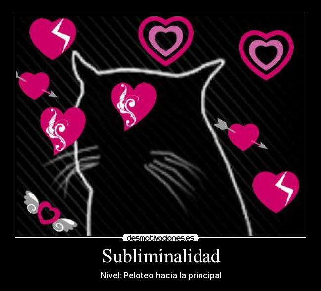 carteles gato principal top 10 justin bieber amor gato desmotivaciones