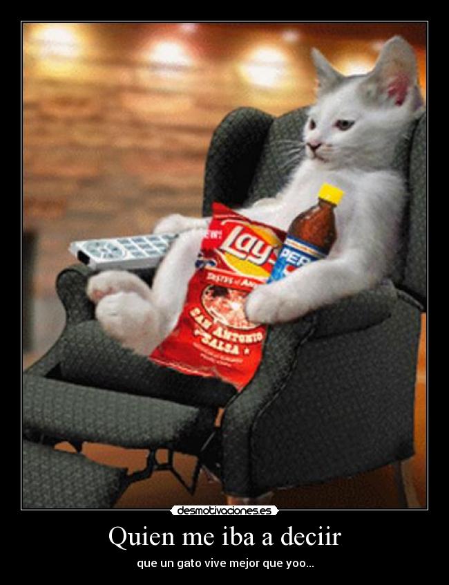 Quien me iba a deciir -