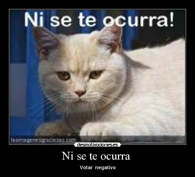 Ni se te ocurra  - Votar  negativo