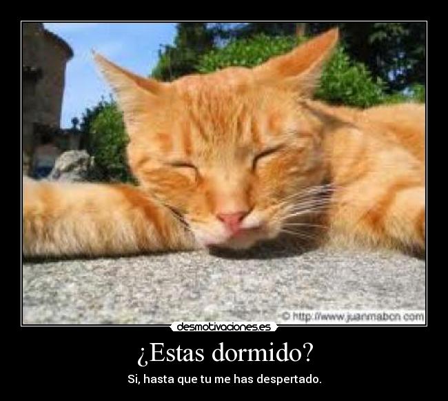 ¿Estas dormido? - Si, hasta que tu me has despertado.