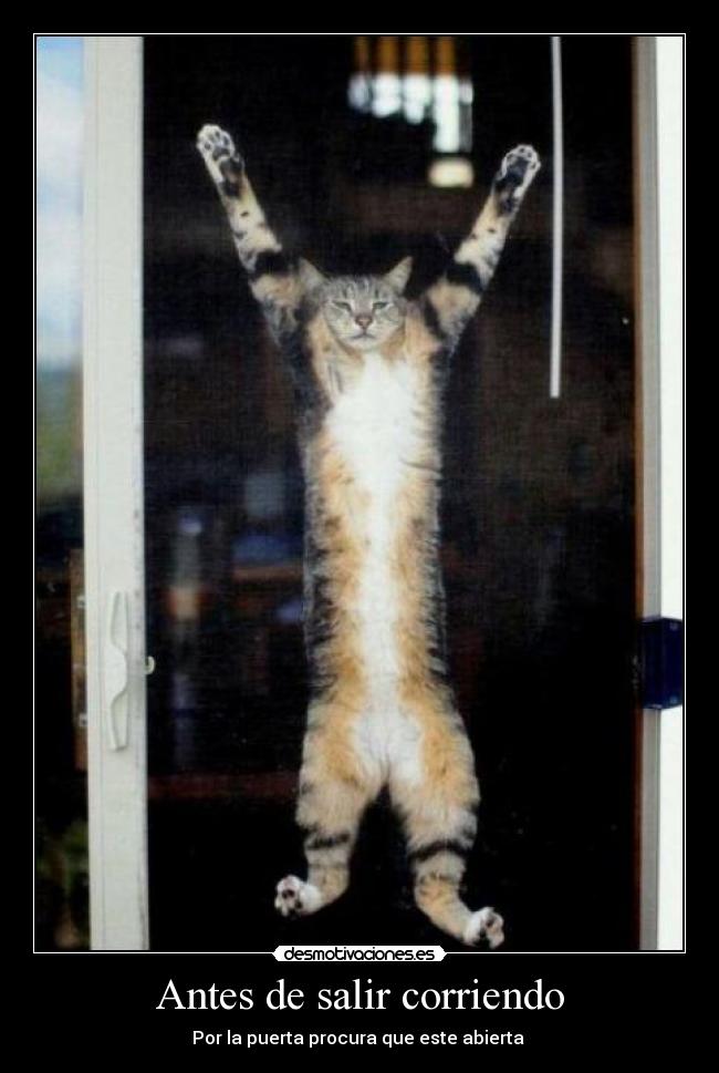 Antes de salir corriendo - Por la puerta procura que este abierta 