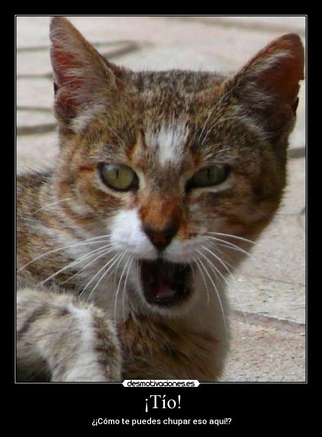 ¡Tío! - ¿¡Cómo te puedes chupar eso aquí!?