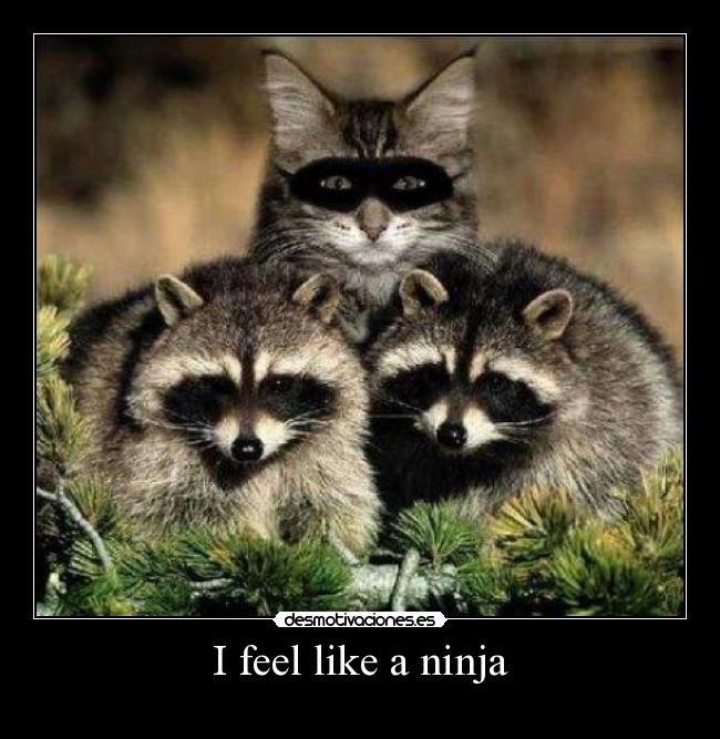 I feel like a ninja - 