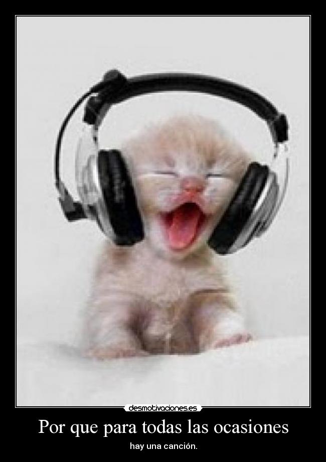 carteles gato desmotivaciones