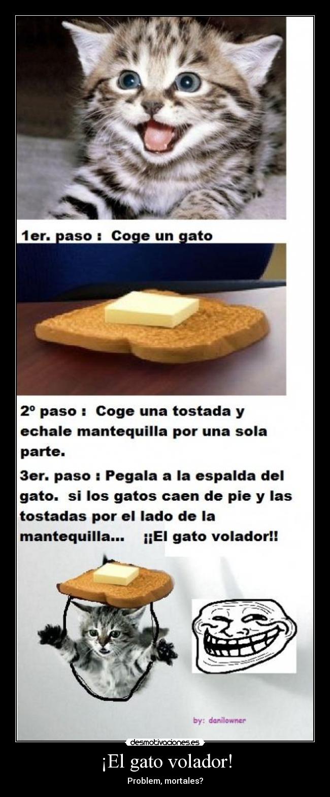 ¡El gato volador! - Problem, mortales?