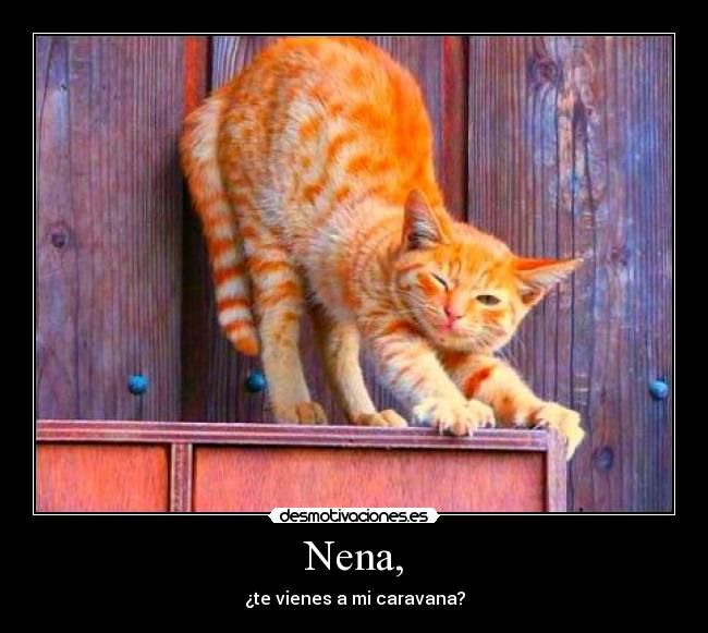 Nena, - 