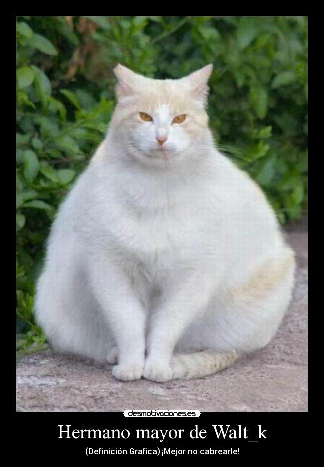 Hermano mayor de Walt_k - (Definición Grafica) ¡Mejor no cabrearle!