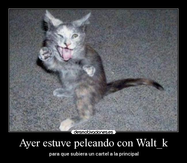 carteles pelea desmotivaciones