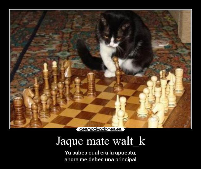 Jaque mate walt_k -