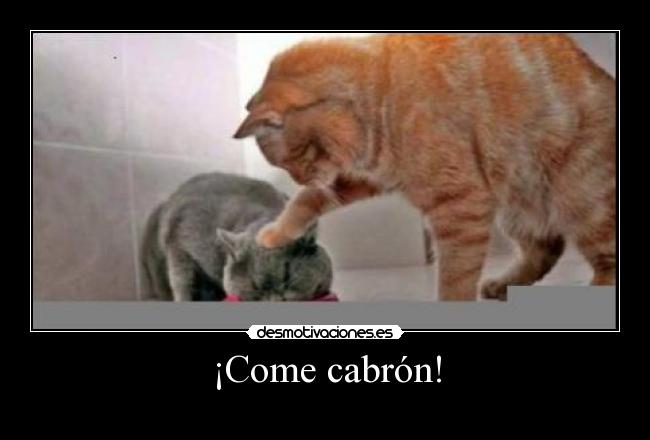 ¡Come cabrón! -