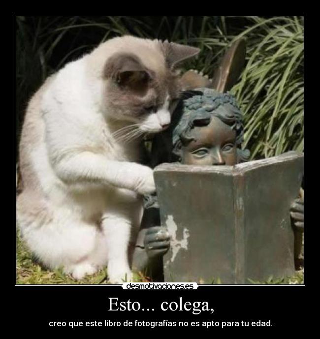 Esto... colega, - creo que este libro de fotografías no es apto para tu edad.