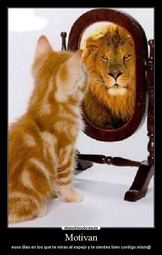 Motivan - esos días en los que te miras al espejo y te sientes bien contigo mism@