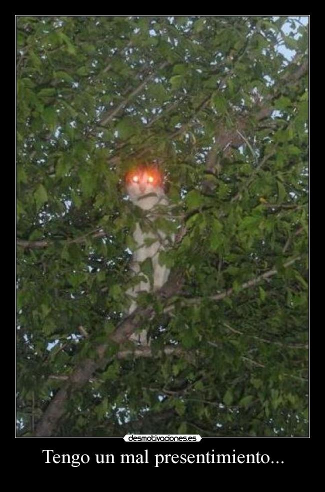 Tengo un mal presentimiento... -