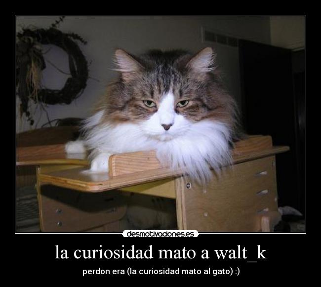 la curiosidad mato a walt_k -