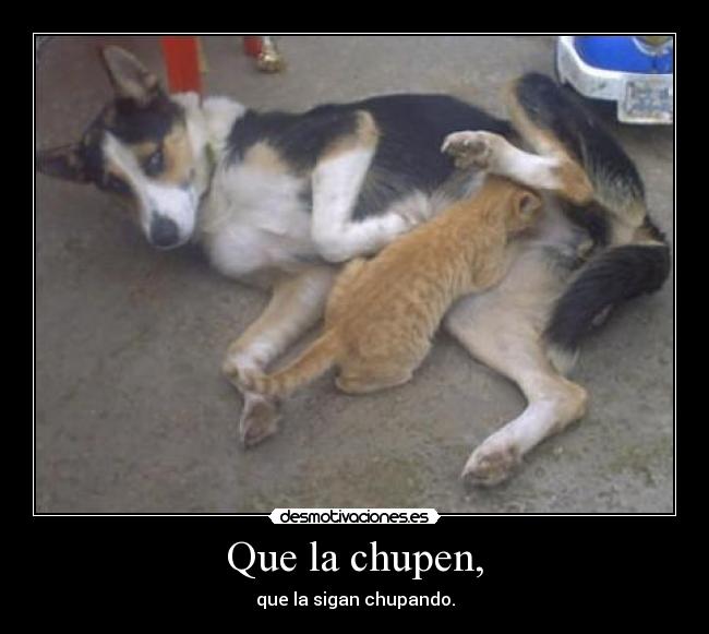 Que la chupen, - que la sigan chupando.
