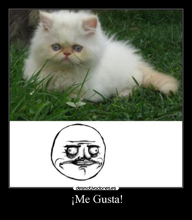 ¡Me Gusta! - 
