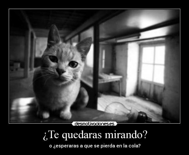 ¿Te quedaras mirando? - o ¿esperaras a que se pierda en la cola?