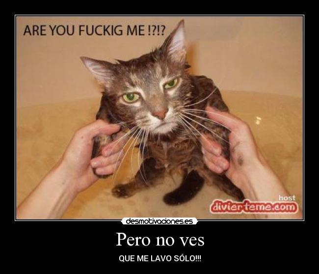 Pero no ves - QUE ME LAVO SÓLO!!!