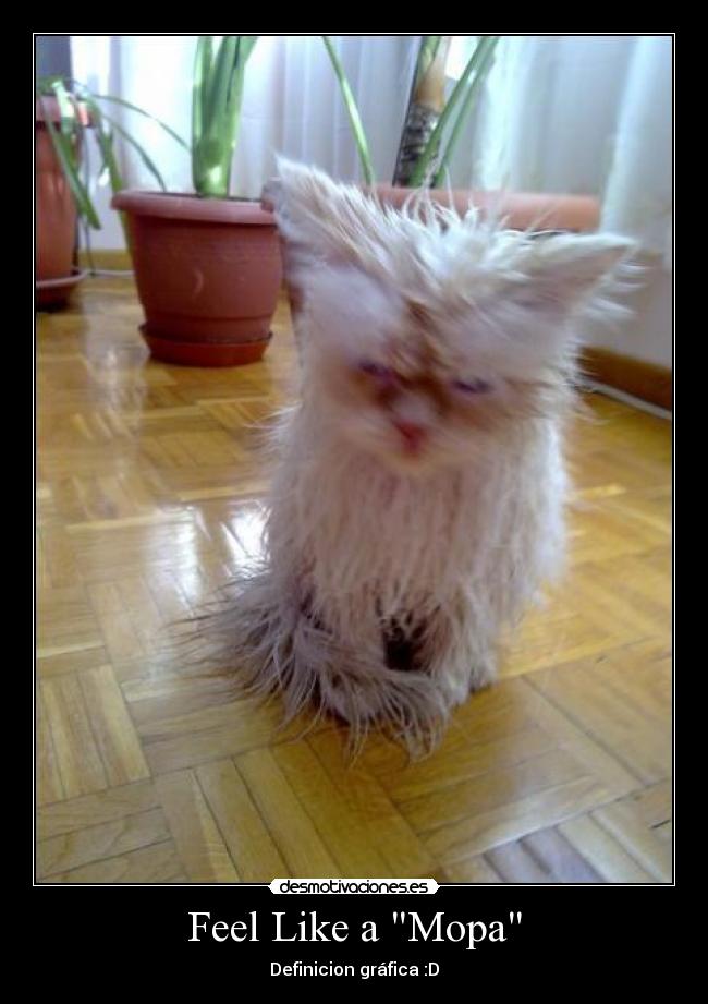 Feel Like a Mopa - Definicion gráfica :D