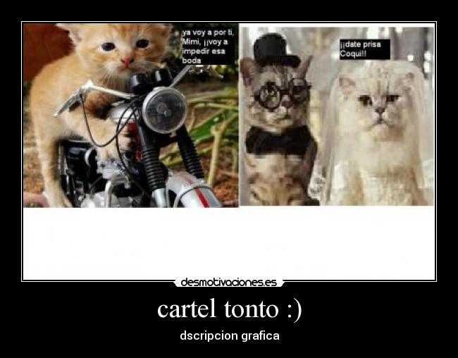 cartel tonto :) - 