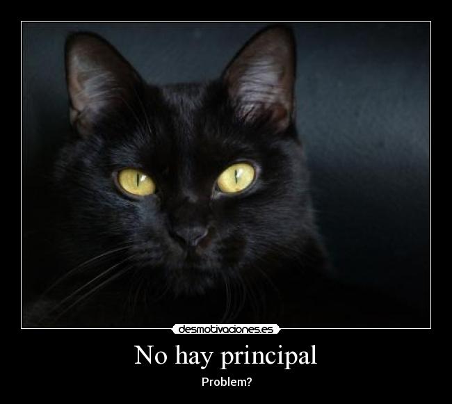 No hay principal - Problem?