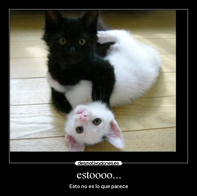 estoooo... -