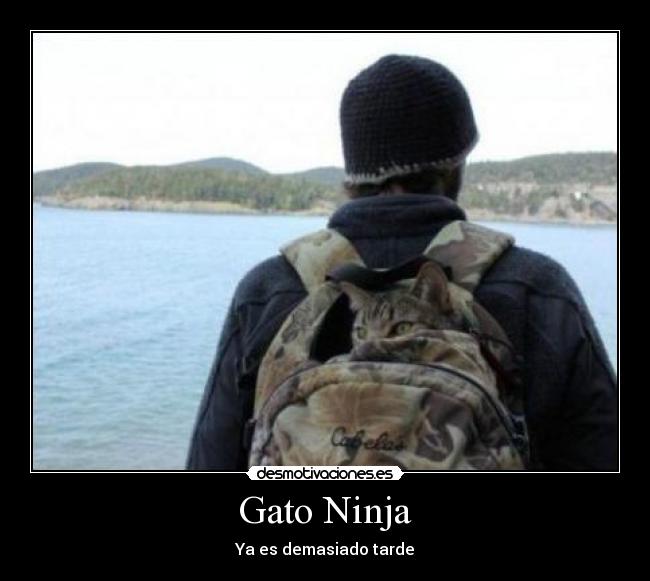 Gato Ninja -
