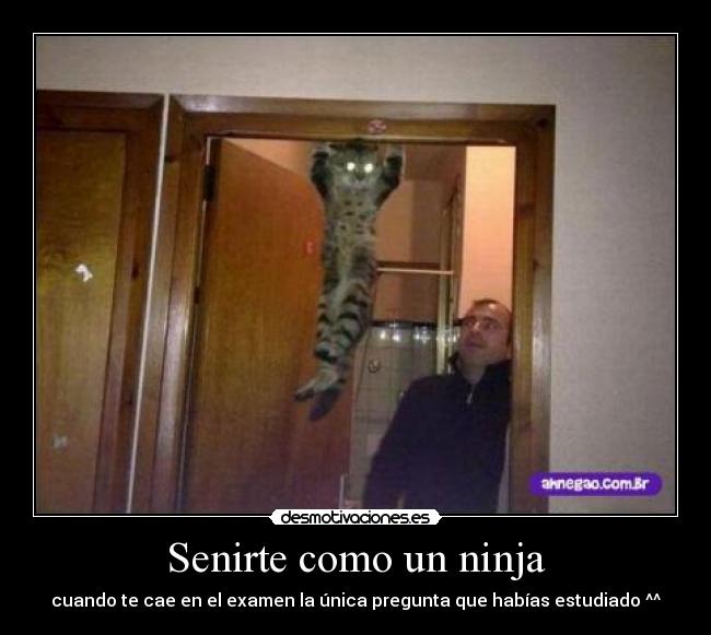 Senirte como un ninja - cuando te cae en el examen la única pregunta que habías estudiado ^^
