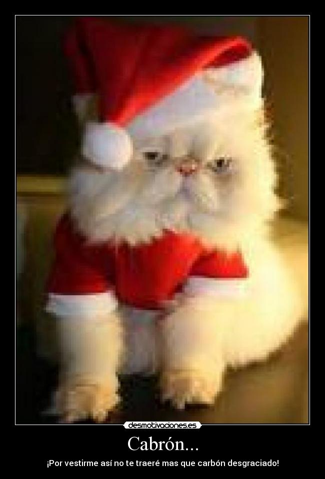 Cabrón... - ¡Por vestirme así no te traeré mas que carbón desgraciado!