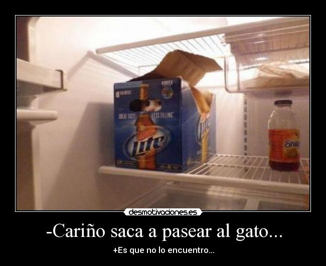 -Cariño saca a pasear al gato... -