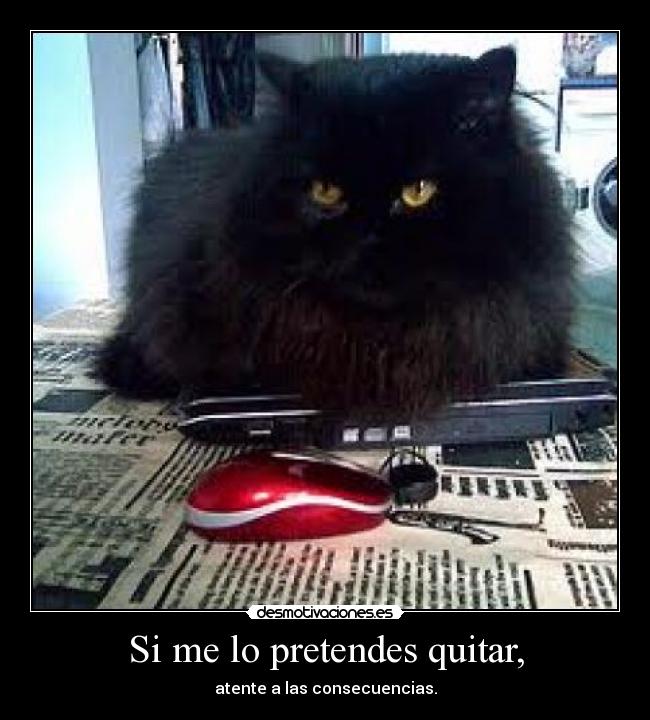 Si me lo pretendes quitar, -