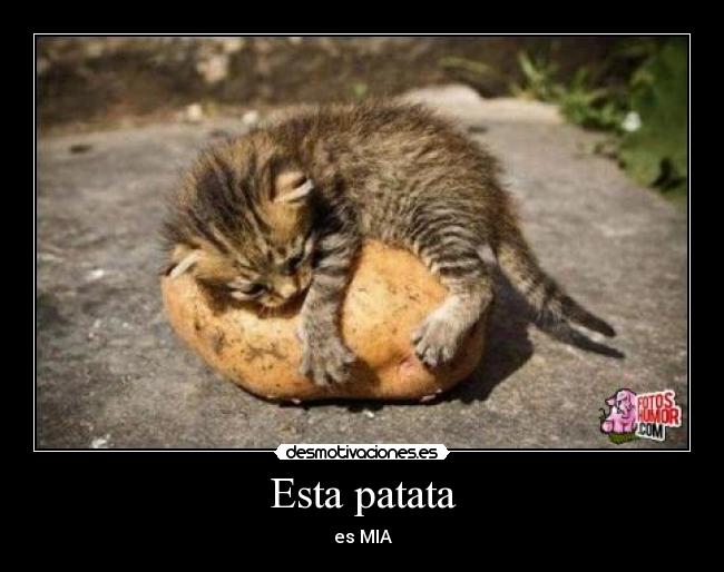 Esta patata -