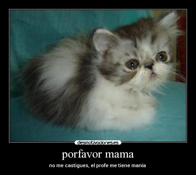 porfavor mama - 