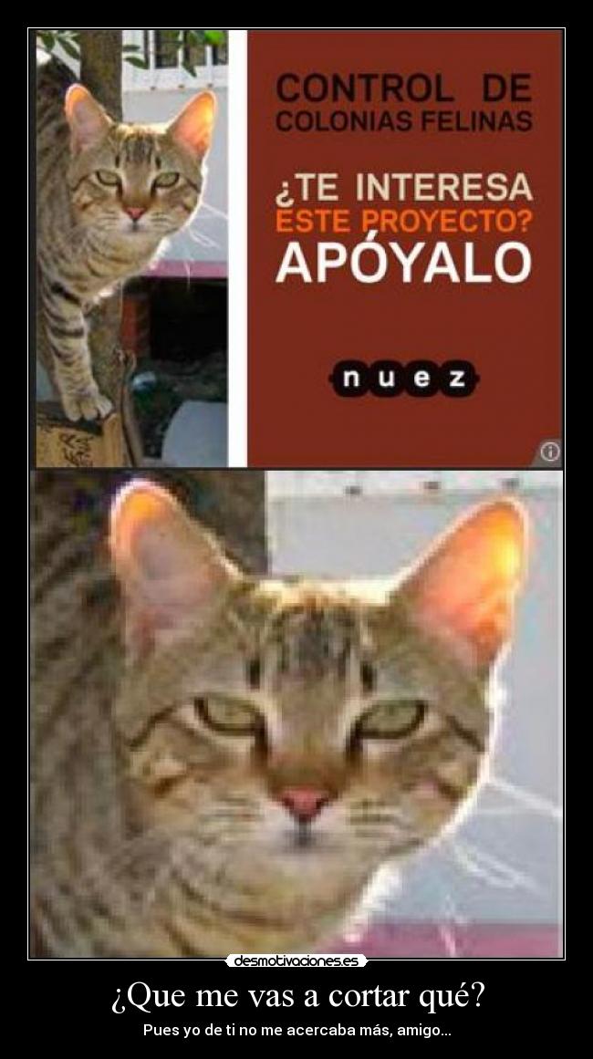 ¿Que me vas a cortar qué? - Pues yo de ti no me acercaba más, amigo...