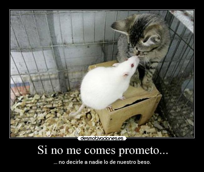 Si no me comes prometo... - ... no decirle a nadie lo de nuestro beso.