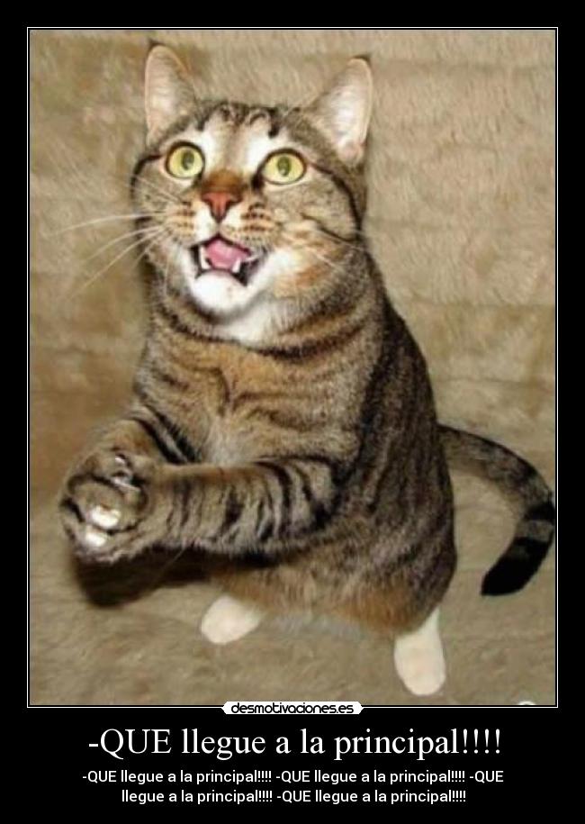 -QUE llegue a la principal!!!! -