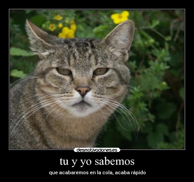 tu y yo sabemos - 