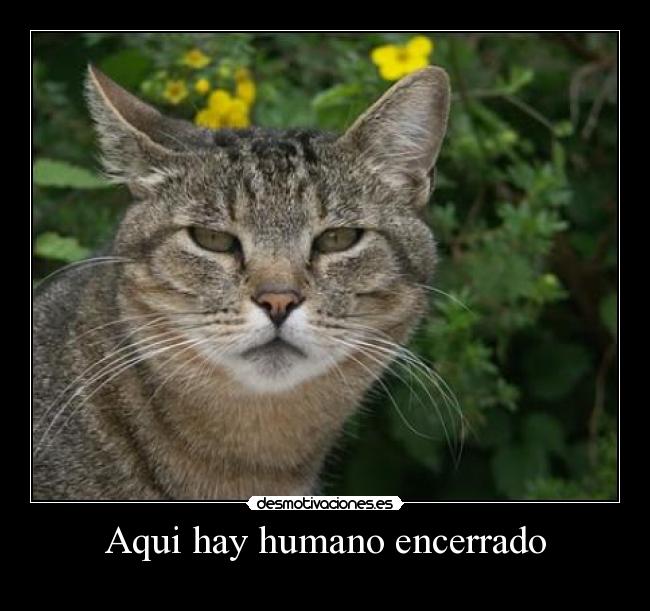 Aqui hay humano encerrado - 