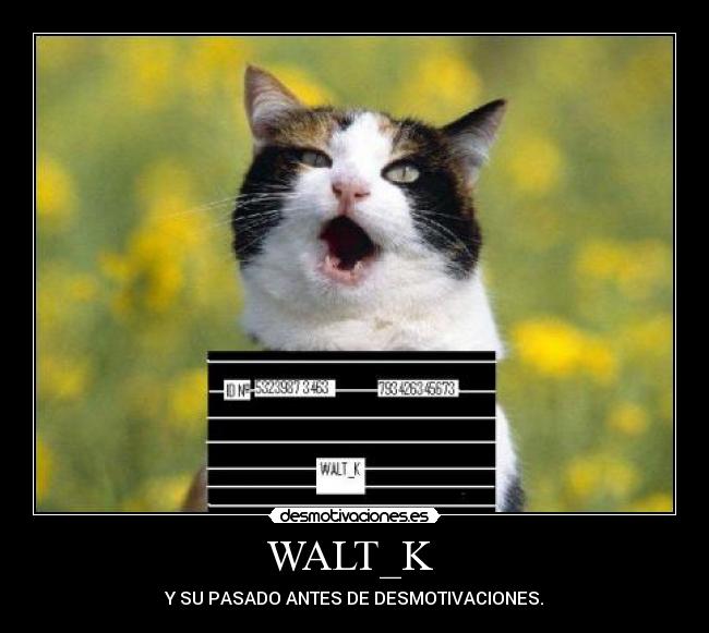 WALT_K  - Y SU PASADO ANTES DE DESMOTIVACIONES.