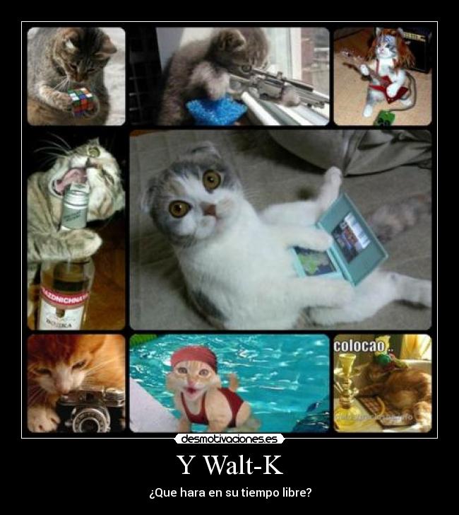 Y Walt-K - 