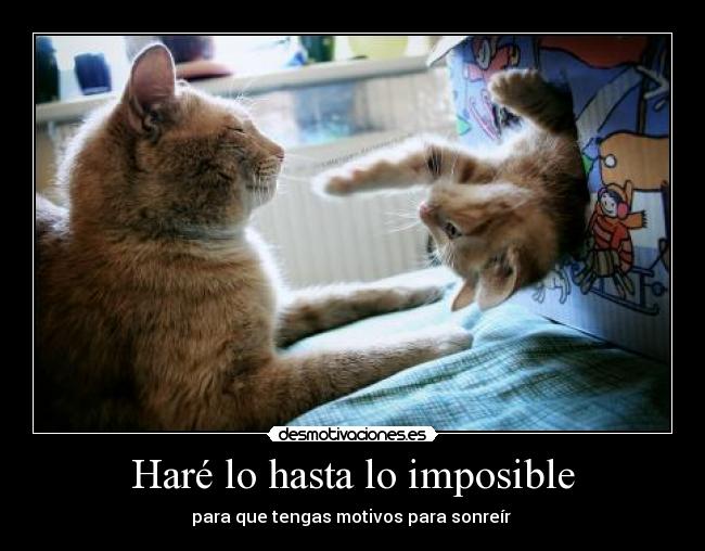 Haré lo hasta lo imposible - para que tengas motivos para sonreír 