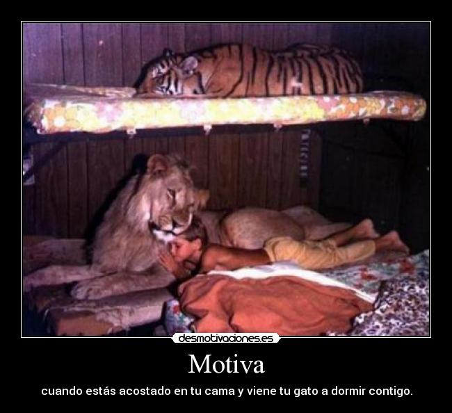 Motiva - cuando estás acostado en tu cama y viene tu gato a dormir contigo.