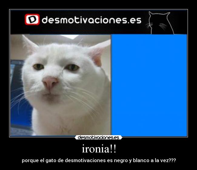 ironia!! - porque el gato de desmotivaciones es negro y blanco a la vez???