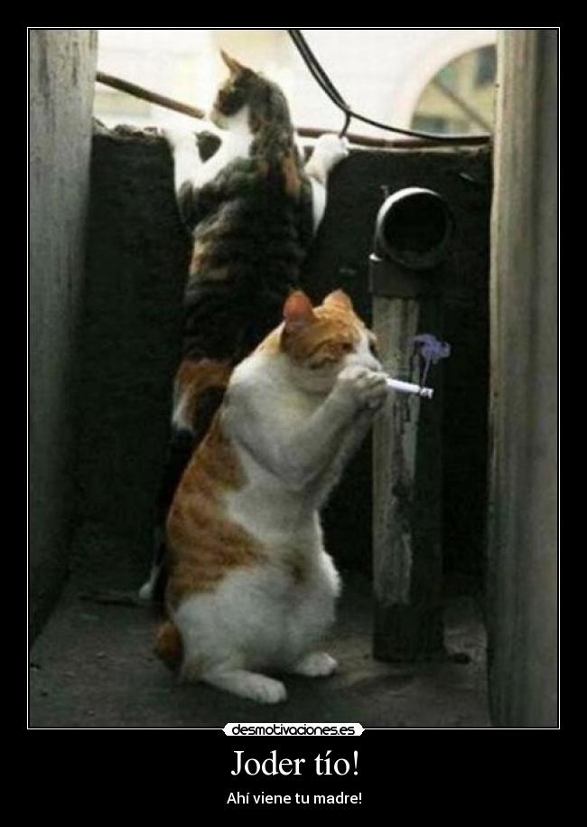 Joder tío! - Ahí viene tu madre!