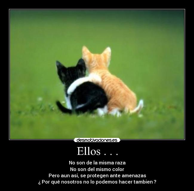 Ellos . . . - No son de la misma raza
No son del mismo color
Pero aun asi, se protegen ante amenazas
¿ Por qué nosotros no lo podemos hacer tambien ?