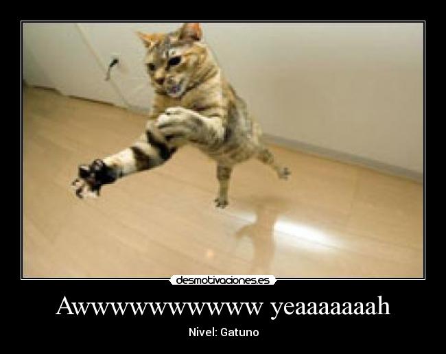 Awwwwwwwwww yeaaaaaaah - Nivel: Gatuno
