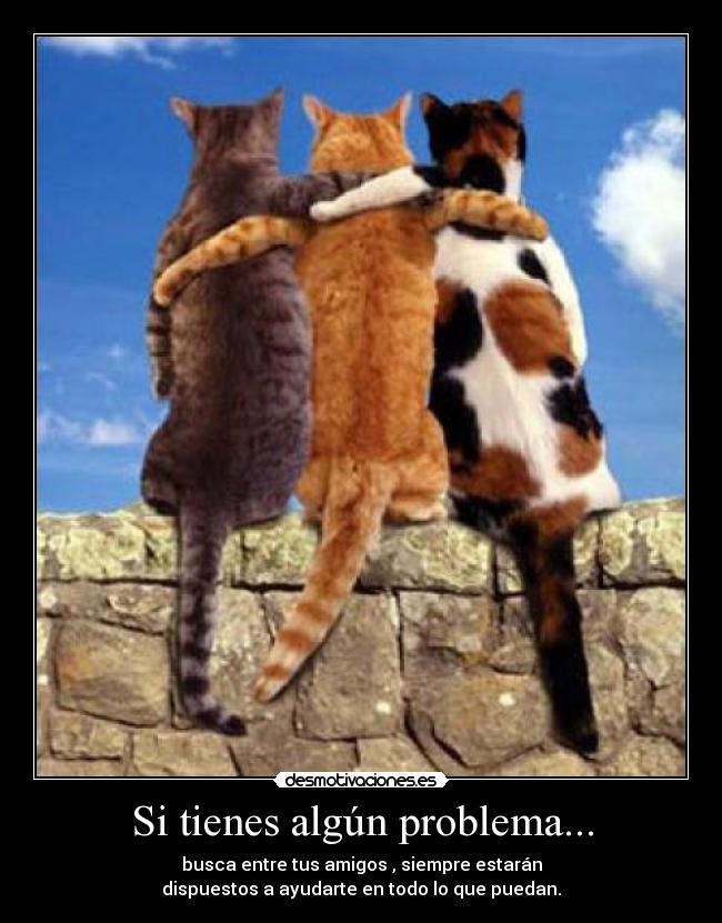 Si tienes algún problema... -